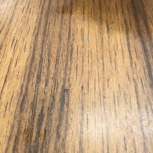 Meet your Posher, Jasper